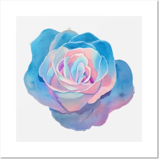 Azure blue pink purple colorful rose Posters and Art